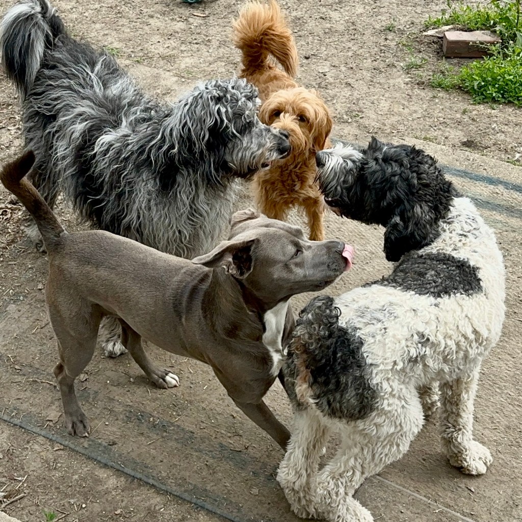 Daycare
